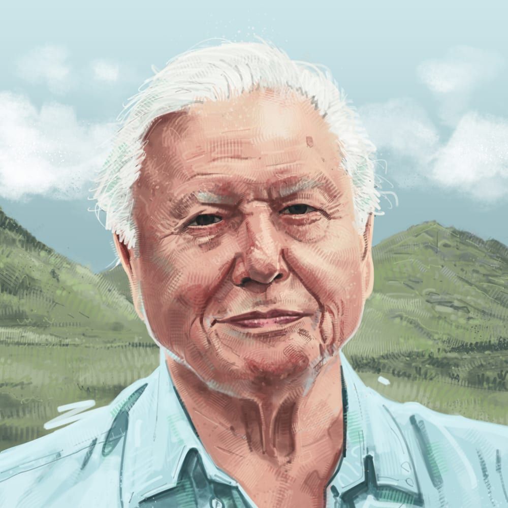 Painted portrait by Seb Antoniou — Sir David Attenborough in a blue shirt against rolling green hills and a clouded sky.